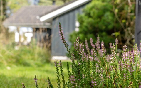 Grimi - 4Km from the Sea: Cottage, Home, House, Roof, Porch, Estate, Siding, Garden Buildings, Farmhouse, Yard