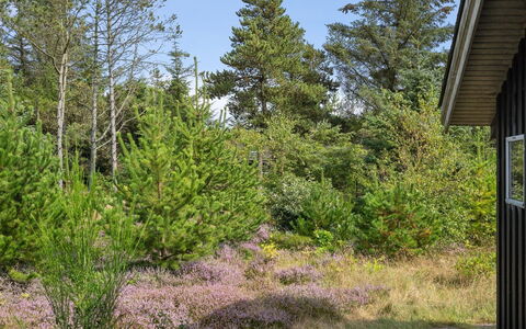 Asmo - 350M from the Sea: Blue, Shrub, Cottage, Groundcover, Garden, Estate, Shade, Landscaping, Farmhouse, Eco Hotel