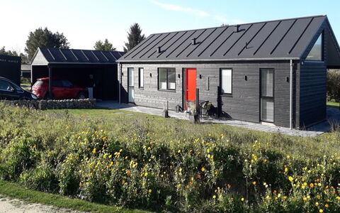 Luci - 500M from the Sea: House, Home, Door, Roof, Cottage, Estate, Garden, Shade, Siding, Yard