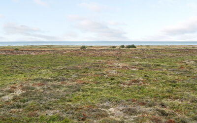 Asmod - 300M from the Sea