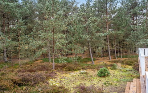 Syrine - 300M from the Sea: Roof, House, Home, Cottage, Siding, Estate, Driveway, Garden Buildings, Yard, Shed