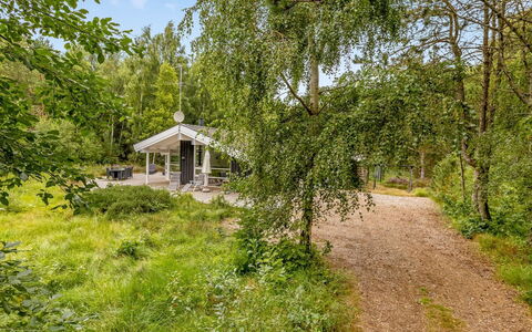 Ran - 600M from the Sea: Tree, Branch, Vegetation, Shrub, Spring, Woodland, Trunk, Garden, Trail, Garden Buildings