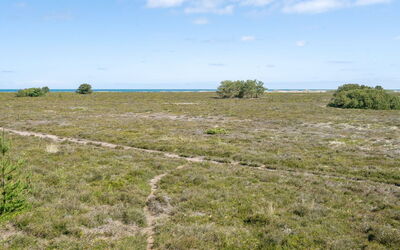 Hrefna - 350M from the Sea