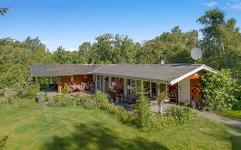 Hartvig - 800M from the Sea: Wood, Home, Porch, Deck, Hardwood, Roof, Wood Stain, Wood Flooring, Eco Hotel