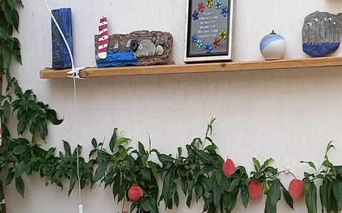 Hartvig - 800M from the Sea: Fruit, Produce, Natural Foods, Food, Flowerpot, Houseplant, Rose Family, Superfood