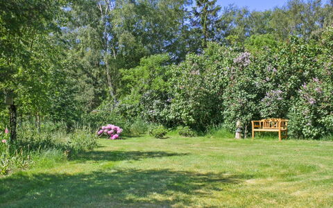 Hartvig - 800M from the Sea: Wood, Home, Porch, Deck, Hardwood, Roof, Wood Stain, Wood Flooring, Eco Hotel