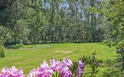 Hartvig - 800M from the Sea: Wood, Home, Porch, Deck, Hardwood, Roof, Wood Stain, Wood Flooring, Eco Hotel