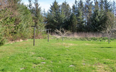 Eljena - 600M from the Sea: Grass, Grassland, Plain, Land Lot, Pasture, Meadow, Larch, Field, Lawn