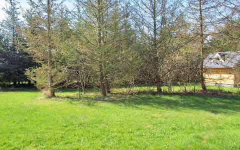 Eljena - 600M from the Sea: Tree, Leaf, Larch, Woody Plant, Meadow, Pasture, Woodland, Lawn