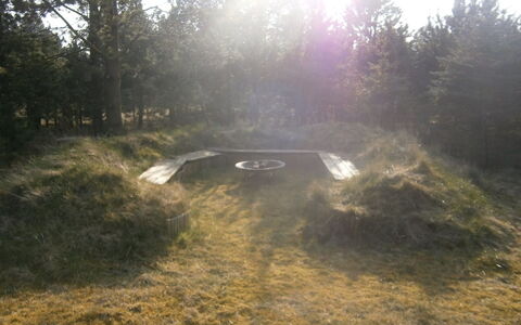 Dorith - 400M from the Sea: Grass, Soil, Shadow