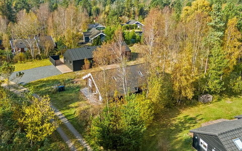 Tanas - 2Km from the Sea: Tree, Residential Area, Landscape, House, Land Lot, Roof, Home, Rural Area, Human Settlement, Cottage