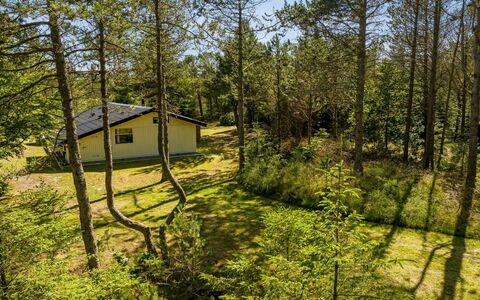 Hakan - 4Km from the Sea: Blue, Shrub, Cottage, Groundcover, Garden, Estate, Shade, Landscaping, Farmhouse, Eco Hotel
