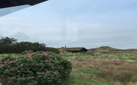 Gerulf - 600M from the Sea: Blue, Shrub, Cottage, Groundcover, Garden, Estate, Shade, Landscaping, Farmhouse, Eco Hotel
