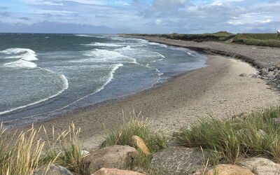 Märta - 300M from the Sea