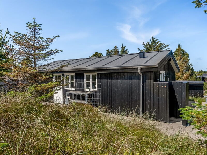 Thorkil - 800M from the Sea