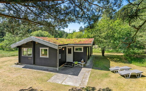 Tuba - 600M from the Sea: House, Home, Residential Area, Roof, Cottage, Land Lot, Estate, Yard, Garden, Siding