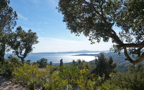 La Bartavelle: Sky, Plant, Cloud, Plant Community, Water, Tree, Natural Landscape, Wood, Land Lot, Highland