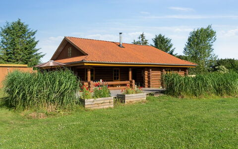 Elsia - 1.5Km to the Fjord: Architecture, Roof, Home, Composite Material, Daylighting, Siding, Driveway