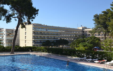 Mariposa: Water, Building, Sky, Property, Plant, Tree, Swimming Pool, Window, Urban Design, Leisure