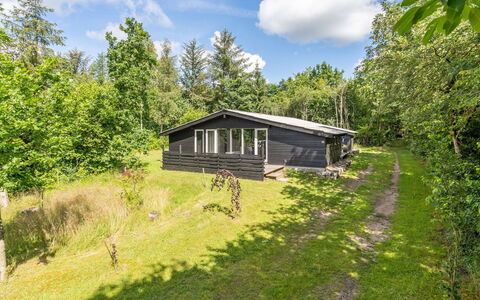 Vitus - 30Km from the Sea: Roof, House, Home, Cottage, Door, Siding, Deck, Porch, Plank, Hardwood