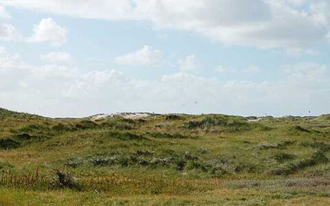 Apostol - 500M from the Sea: Blue, Shrub, Cottage, Groundcover, Garden, Estate, Shade, Landscaping, Farmhouse, Eco Hotel