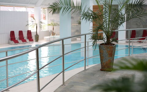 Fanny - 2Km from the Sea: Flooring, Interior Design, Floor, Composite Material, Swimming Pool, Resort, Glass, Tile, Design, Houseplant
