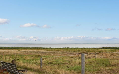 Baltser - 5Km from the Sea: 
