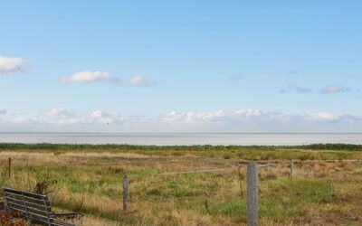 Baltser - 5Km from the Sea