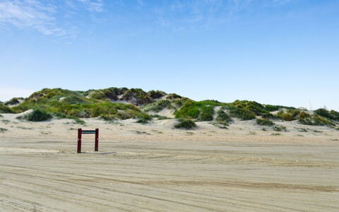 Guder - 500M from the Sea: Roof, House, Land Lot, Home, Cottage, Estate, Garden Buildings, Shade, Log Cabin, Landscaping