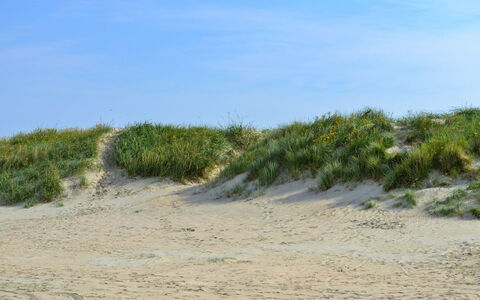 Guder - 500M from the Sea: Roof, House, Land Lot, Home, Cottage, Estate, Garden Buildings, Shade, Log Cabin, Landscaping