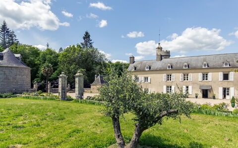 Penguilly: Cloud, Plant, Sky, Window, Building, Land Lot, Tree, Vegetation, Natural Landscape, Grass