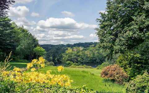 Penguilly: Sky, Cloud, Plant, Plant Community, Flower, Ecoregion, Natural Landscape, Tree, Vegetation