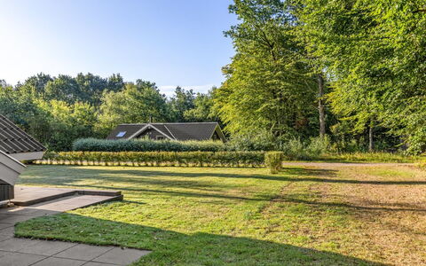 Leonard - 30Km from the Sea: Tree, Green, Grass, Leaf, Shrub, Garden, Landscape, Land Lot, Groundcover, Lawn