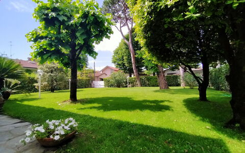 Villa Martino: Water, Plant, Cloud, Building, Sky, Property, Swimming Pool, Azure, Shade, Rectangle