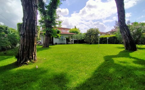 Villa Martino: Water, Plant, Cloud, Building, Sky, Property, Swimming Pool, Azure, Shade, Rectangle