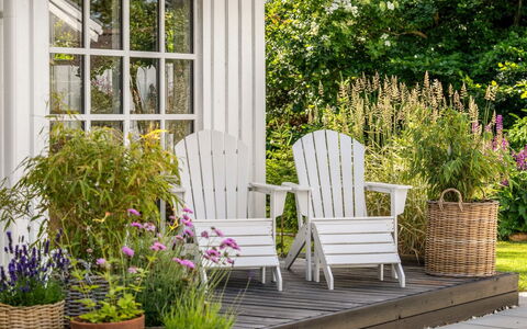 Gunnulf - 750M from the Sea: Flower, Furniture, Flowerpot, Garden, Outdoor Furniture, Shrub, Chair, Houseplant, Porch