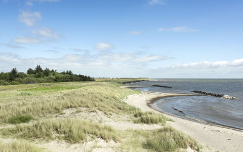 Hughe - 300M from the Sea: Roof, House, Home, Cottage, Door, Siding, Deck, Porch, Plank, Hardwood