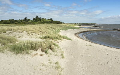 Hughe - 300M from the Sea