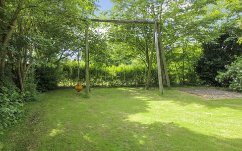 Claudia: Grass, Green, Leaf, Garden, Shrub, Land Lot, Shade, Groundcover, Lawn