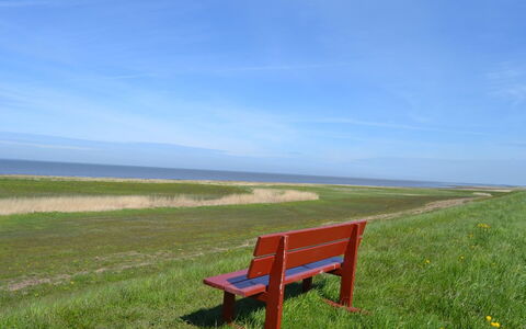 Adine - 13Km from the Sea: Blue, Shrub, Cottage, Groundcover, Garden, Estate, Shade, Landscaping, Farmhouse, Eco Hotel