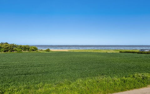 Kielo - 10Km from the Sea: Blue, Shrub, Cottage, Groundcover, Garden, Estate, Shade, Landscaping, Farmhouse, Eco Hotel