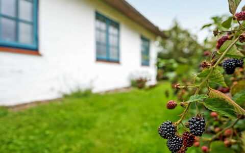 Clausina - 600M from the Sea: Blue, Shrub, Cottage, Groundcover, Garden, Estate, Shade, Landscaping, Farmhouse, Eco Hotel