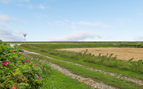 Clausina - 600M from the Sea: Blue, Shrub, Cottage, Groundcover, Garden, Estate, Shade, Landscaping, Farmhouse, Eco Hotel