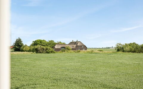 Iina - 13Km from the Sea: Blue, Shrub, Cottage, Groundcover, Garden, Estate, Shade, Landscaping, Farmhouse, Eco Hotel