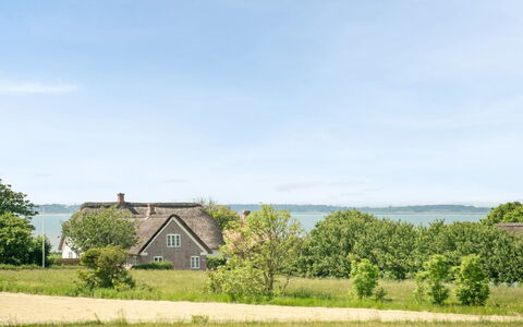 Iina - 13Km from the Sea: Green, Grass, Natural Landscape, Landscape, Land Lot, Rural Area, Cottage, Meadow, Lawn