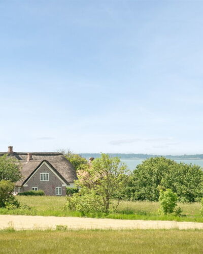 Iina - 13Km from the Sea