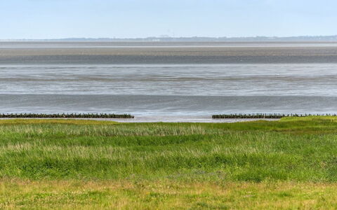 Sofija: Horizon, Ecoregion, Grassland, Plain, Coastal And Oceanic Landforms, Land Lot, Sea, Coast, Field
