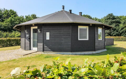 Jani - 25Km from the Sea