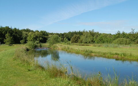 Jani - 25Km from the Sea