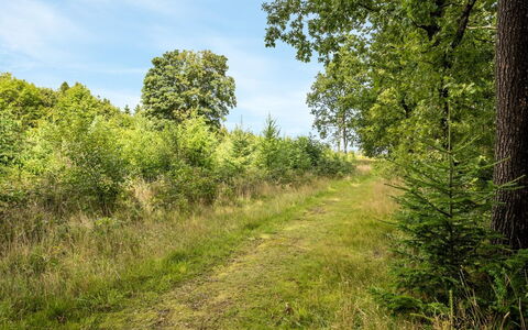 Rasmus - 29Km from the Sea: Residential Area, Roof, Suburb, Driveway, Estate, Chimney